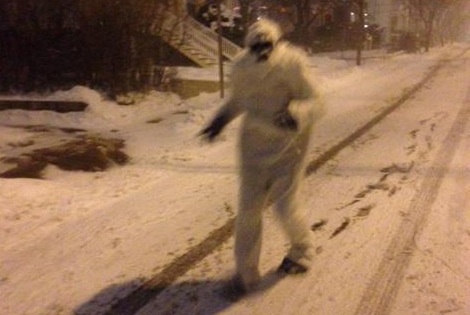 Boston Yeti
